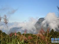  阿里山秋景如畫