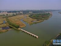  江蘇徐州：黃河故道變身濕地公園