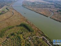  江蘇徐州：黃河故道變身濕地公園