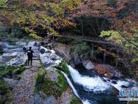  巴山盡染 秋水含情