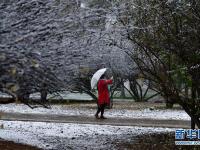  青海西寧迎來降雪