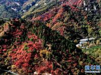  紅葉漫山秋意濃