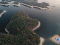  太平湖晨景