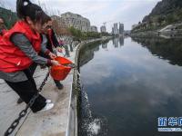  杭州臨安：守護(hù)美麗河道 共建綠色家園