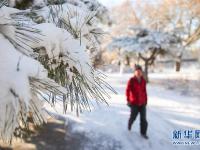  雪后盛京美如畫(huà)