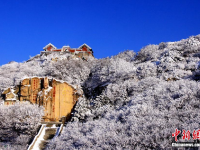  泰山雪后風景如畫