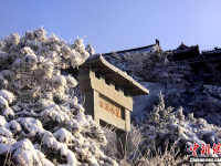  泰山雪后風(fēng)景如畫