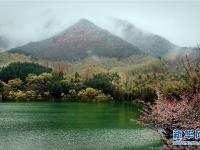 煙雨黃柏山