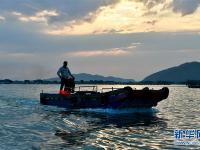 福建東山：光影海上牧場
