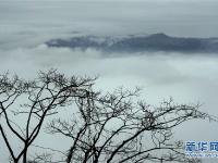 煙雨黃柏山