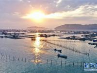 福建東山：光影海上牧場
