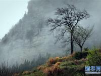 煙雨黃柏山