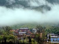 煙雨黃柏山