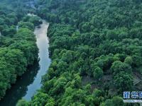 貴陽(yáng)：初夏濕地景如畫