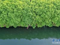 貴陽：初夏濕地景如畫