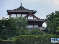 甘肅崇信：秀美龍泉寺 夏日好乘涼