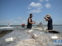 探訪赫哲族打魚(yú)灘地