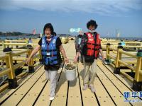 山東榮成：海洋牧場迎來夏季旅游熱