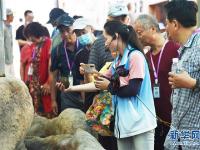 山東榮成：海洋牧場(chǎng)迎來(lái)夏季旅游熱