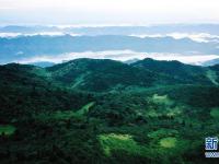 
云起峰巒間 紫柏山如畫
