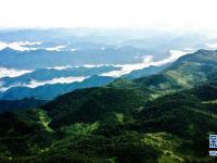 
云起峰巒間 紫柏山如畫
