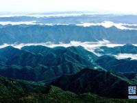 
云起峰巒間 紫柏山如畫
