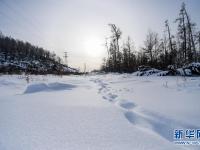 雪落大興安嶺
