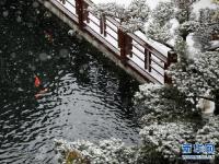 貴陽(yáng)降雪
