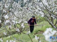 雨水時(shí)節(jié)農(nóng)事忙
