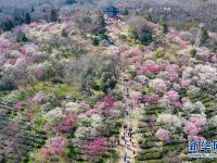 南京國(guó)際梅花節(jié)開(kāi)幕
