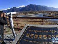 西藏雅尼國家濕地公園冬景宜人
