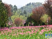 貴州龍里：龍架山花開(kāi)引客來(lái)
