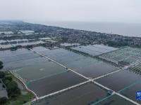 浙江湖州：推进特色生态水产养殖 助力乡村共同富裕
