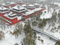 沈陽：“小雪”迎降雪
