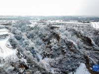 雪后隴原
