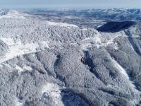 雪后六盤山
