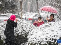 塞外初春迎飛雪
