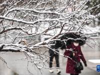 塞外初春迎飛雪
