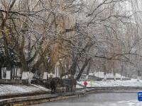 塞外初春迎飛雪
