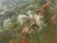 貴州丹寨龍泉山：杜鵑花海景致美
