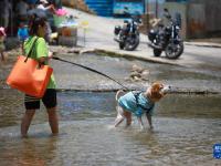 貴陽：夏日親水樂
