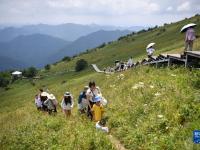 新華全媒+丨秦嶺清涼小城旅游熱