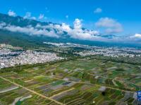 蒼山洱海風(fēng)景如畫
