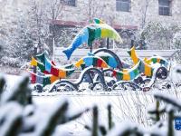 吉林多地迎來降溫降雪
