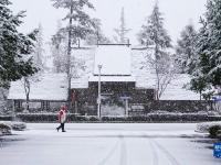 吉林多地迎來降溫降雪
