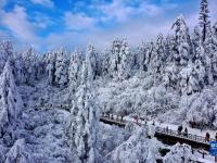 銀裝素裹瓦屋山
