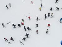 春節(jié)假期 樂(lè)享冰雪
