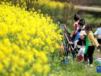 湖南資興：油菜花田“畫春天”
