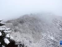 雪落崆峒山
