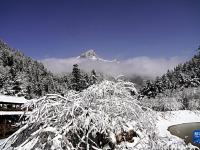 春雪潤(rùn)官鵝
